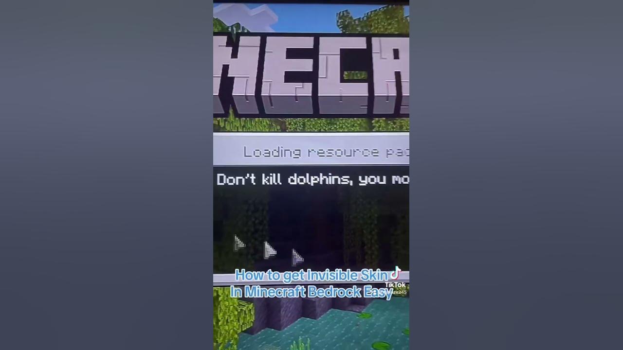 How to get invisible skin in Minecraft bedrock 1.19+ minecraft 