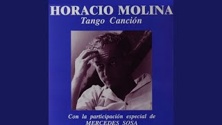 Video thumbnail of "Horacio Molina - Garúa"