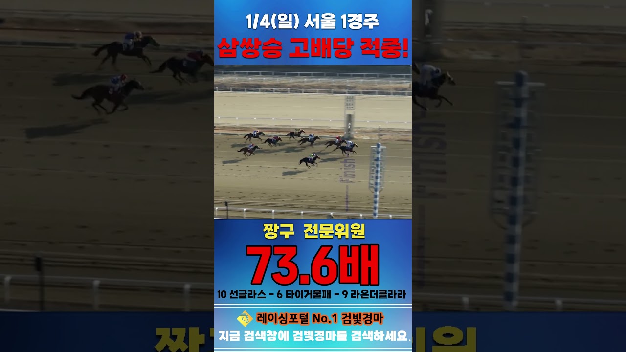 [서울 경마] 1월 4일 일요 1경주 짱구 전문위원 삼쌍승 고배당 적중 #경마 #horse #한국마사회 #automobile #하이라이트 #riding