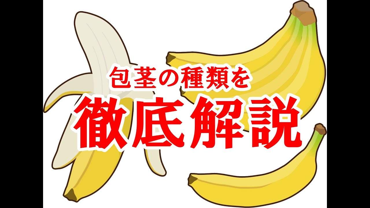 仮性包茎で剥き癖を付けるパターンと、真性包茎・カントン包茎の違いは何ですか？ – 仮性包茎 自分で治す – CIGKS