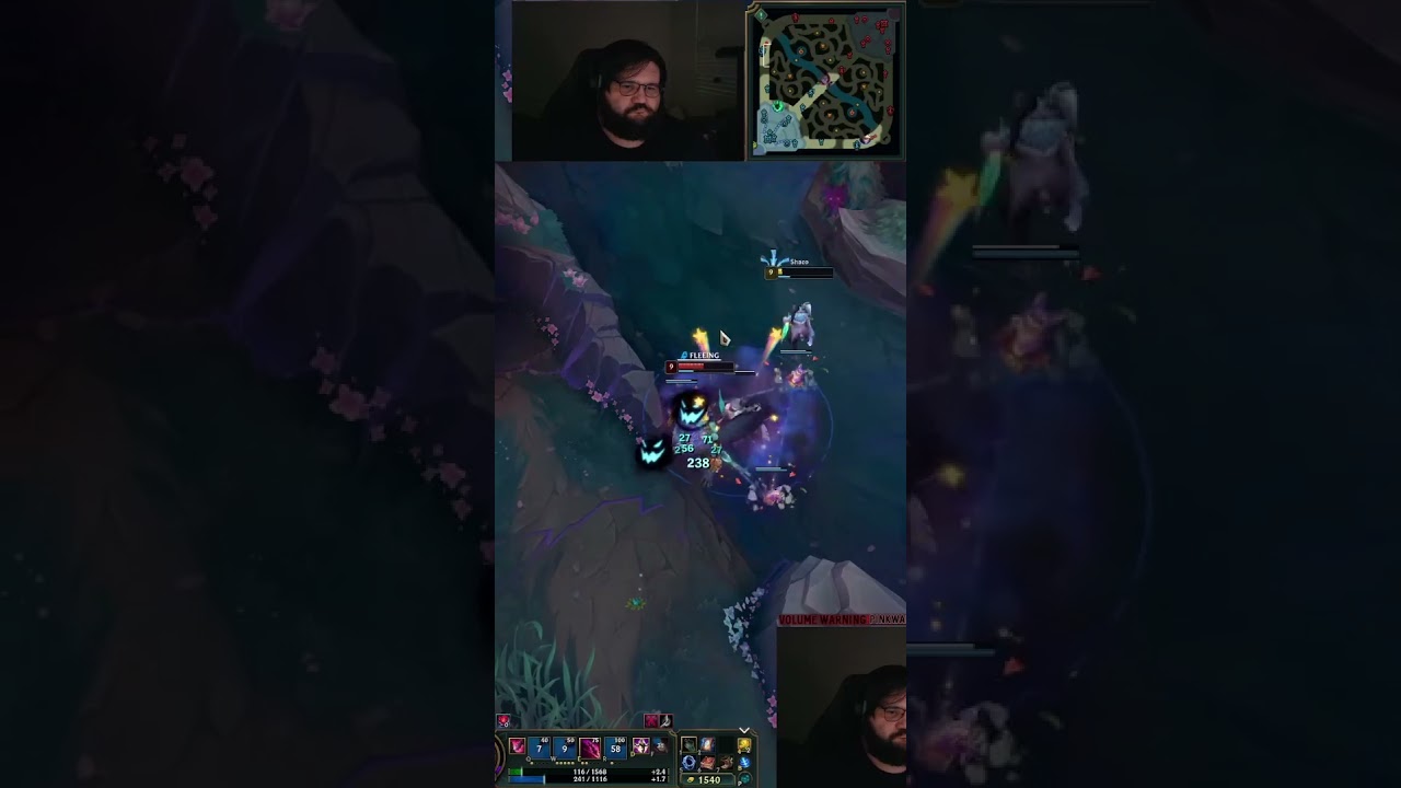 КОТ ПРОТИВ СОБАКИ!!! КТО ПОБЕДИТ?!