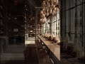 Industrial Loft Dining Kitchen: Live Edge Table, Open Shelves & Warm Light ✨