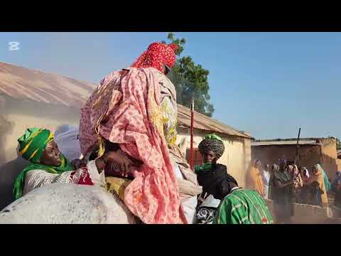 Sarkin Maganin Nigeria Dokinshi Ya Tsorata