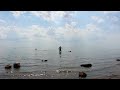 Комарово Экотропа, пляж, температура воды 08 июля 2021г