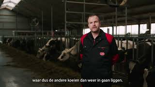 Droge koeien apart zetten op het melkveebedrijf van Jelle Prins - Farm Management Support Lely