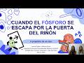 "Cuando el fósforo se escapa por la puerta del riñón" - Ateneos de Co.Re.Bio. Marzo 2026