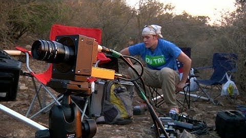 Bio-Inspired Design: Tracking Bats to Teach Drones