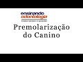 Pré-molarização do Canino