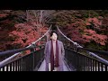 DOTAMA「赤っ恥」(Official Music Video)