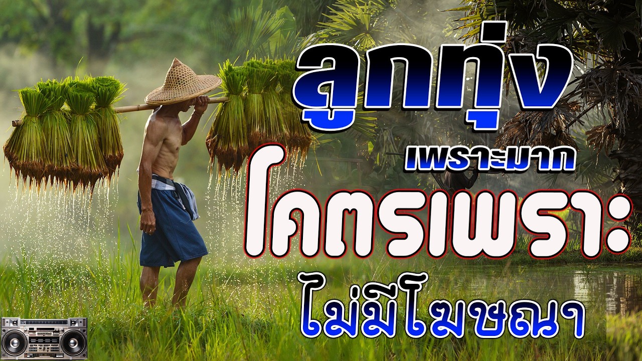 ลูกทุ่งเพราะมาก ลูกทุ่งเพื่อชีวิตโคตรเพราะ ฟังต่อเนื่องหลายเพลง ไม่มีโฆษณา #คัดมาพิเศษ