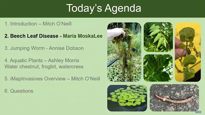 8th Annual NY Invasive Species Mapping Challenge Kickoff