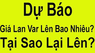 Giá Lan Đột Biến / Giá Lan Var Lên Chạm Mốc Bao Nhiêu Tại Sao Lại Lên Hoa Lan