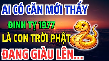Đinh Tỵ 1977 Có CĂN LÀNH - PHÚC DÀY - MỆNH LỚN Mới có 8 Dấu Hiệu Này, Không Biết là Hối cả đời !
