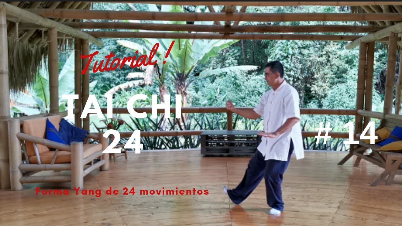 タイ チキンライス Tai Chi forma 24 -Tutorial - Clase # 14