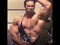 KEVIN LEVRONE X DON