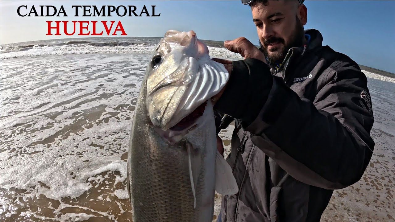 ROBALOS EN HUELVA, GRAN BICHO Y PECES DE PORTE... SURFCASTING GRANADA 