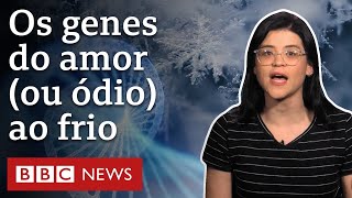 A mutação genética que explica por que uns aguentam mais frio intenso que outros