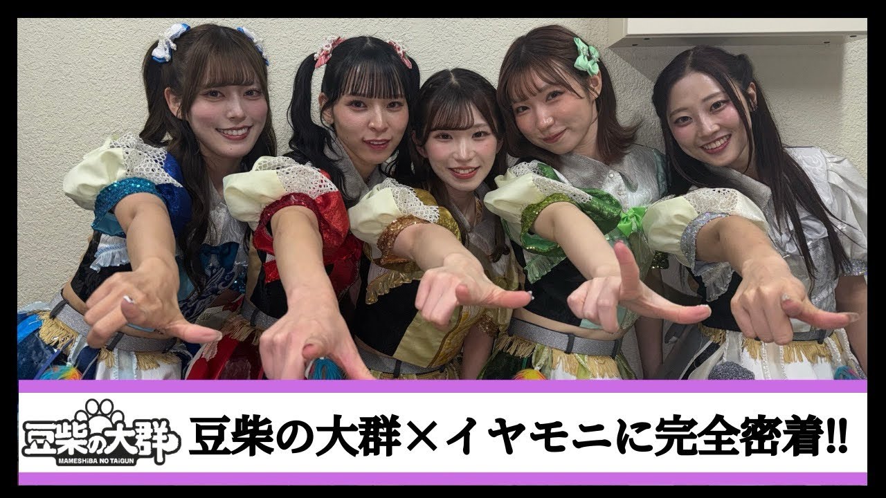 【豆柴の大群】豆柴の大群×イヤモニ制作の裏側に完全密着‼︎