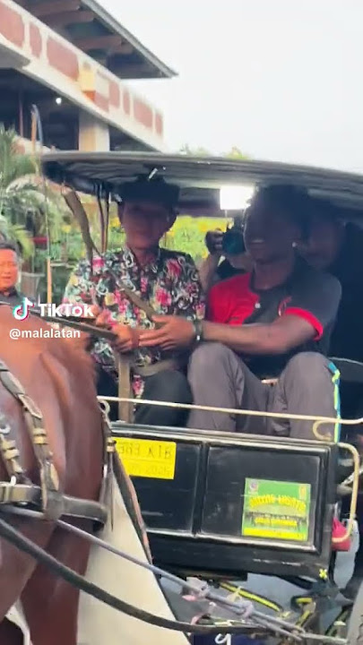 IShow Speed Bak Raja Jawa, Naik Kereta Kencana Samping Kusir Bikin Ngakak Habis
