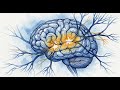 S01E04 | Neurological Effects of Post COVID Syndrome