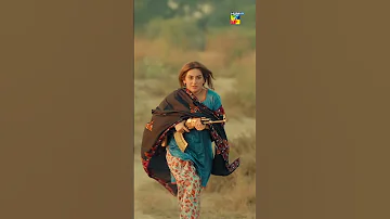 Baghi Haseena Tonight 8 PM Trending Ft Hibabukhari Mamia Shorts 