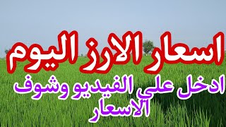 اسعار الأرز الشعير والابيض علي أول اليوم الجمعة/ اسعار الأرز الأبيض والشعير اليوم