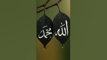 #egzonibrahimi #سورة_الإخلاص #اكسبلور #ikhlas #love #المصحف #beautiful #القزابري #unfrezzmyaccount