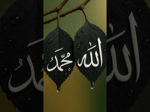  سورة الإخلاص اكسبلور   المصحف  القزابري 
