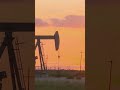 Fuel prices surge