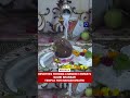 Devotees Offer Prayers at Gauri Shankar Temple in Chandni Chowk on Mahashivratri 2026