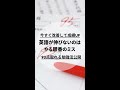 英語が伸びないのは順番ミスが97 #shorts
