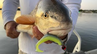 Inshore Saltwater Fishing  Savannah GA