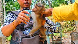 We help bringing New abandoned monkey to feeding milk with Leo, Dawn, Royston, Sheba