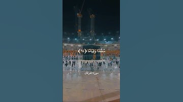 وَعِبَادُ الرَّحْمَٰنِ الَّذِينَ يَمْشُونَ عَلَى الْأَرْضِ هَوْنًا || سورة الفرقان || علي جابر