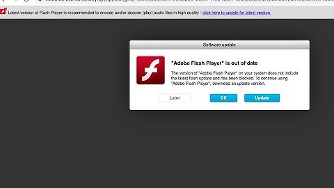 Trafficmonkey.xyz fake software update alert removal (Mac).