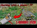 Bird hunting | Smart Boy caught a bird with his phone 😱😱