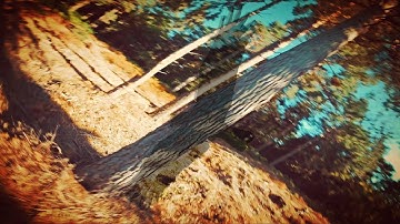 Proximity next level attempt 🌲- TBS Source One ~ FPV Freestyle