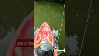 Famous IT WAS WORTH THE LOSS Wealth