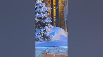 Day 7 LEGO City Advent Calendar 2025 (60475)