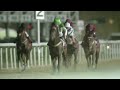 RM 45 Al Rayyan Race 3 - Al Hamla Cup