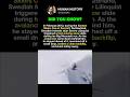 His Backflip Triggered An Avalanche #history #facts
