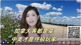 20260822合集【与中国的大智慧相比,美国的小聪明就太急功近利了】【卡尼受了习近平的点拨,茅塞顿开】【寒梅视角】