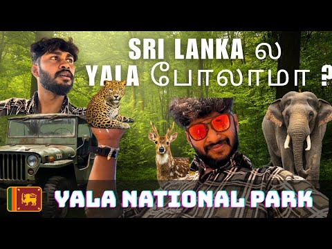 Yala National Park 🐆😱 | India - Srilanka | Worth or Not ? 🫠