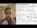 Antibody Therapeutics Overview Monoclonals Bispecifics ADCs Etc