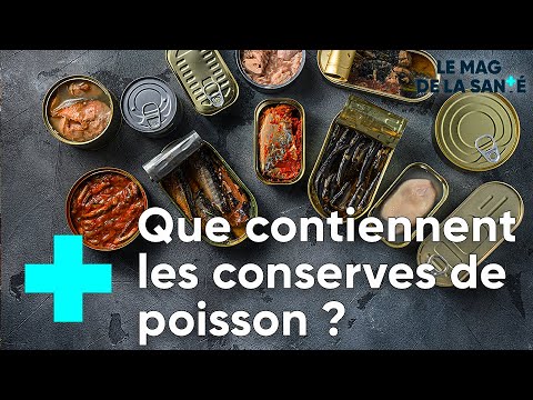 Vidéo: Quel est le meilleur maquereau ou saumon ?