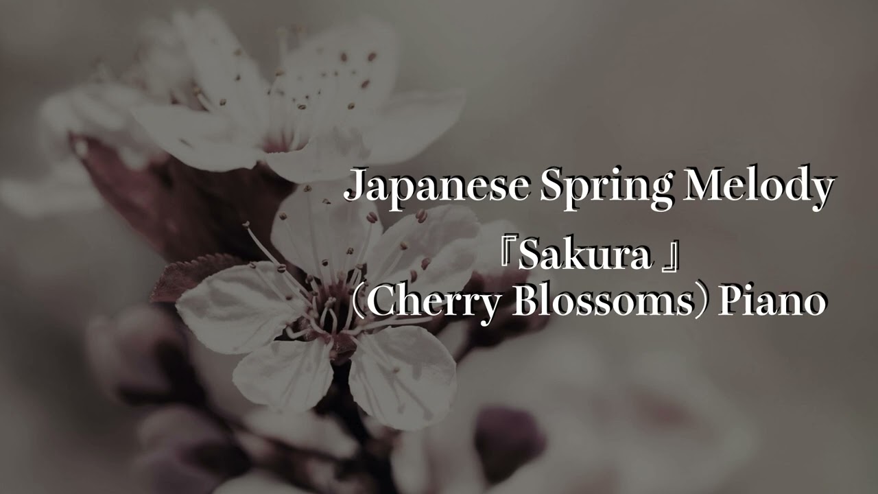 sakura - Japanese Spring Piano | The Beauty of Cherry Blossoms