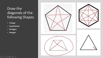 Diagonals of a Polygon