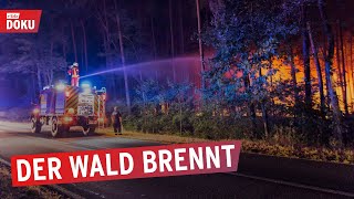Wald in Flammen  Feuerwehr im Dauereinsatz | Die rbb Reporter | Doku & Reportage