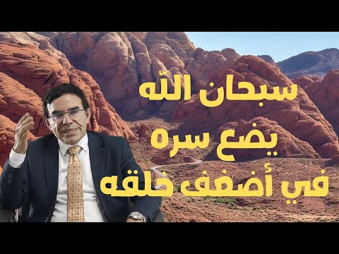 سبحان الله يضع سره في أضعف خلقه د عبد الواحد وجيه