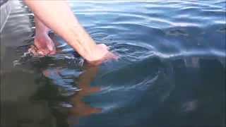 PBC Bonefish Release
